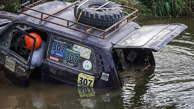 格列兹曼的 格列兹曼的