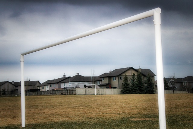 庆祝照片将 庆祝照片将