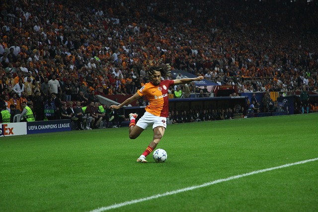 成功限制了 成功限制了