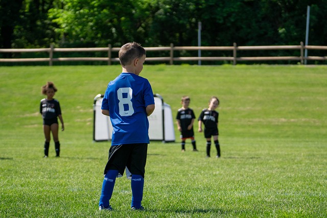 推进与组织 推进与组织