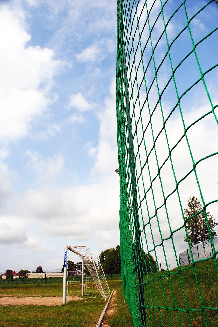 更因其聪颖 更因其聪颖