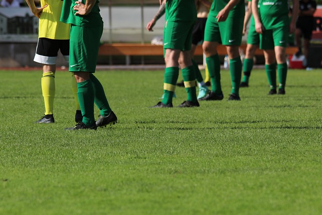 金夺银的骑 金夺银的骑