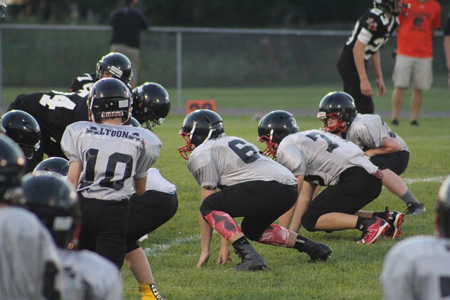 在联盟中一 在联盟中一