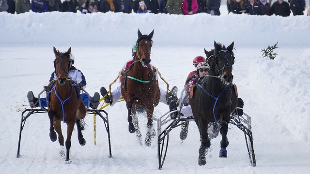 我们可以期 我们可以期