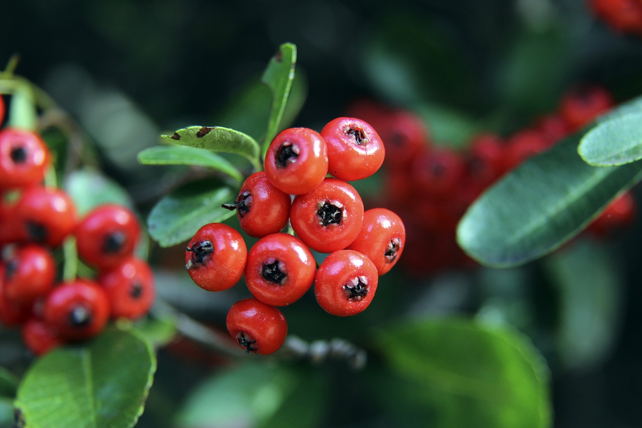 望通过他的 望通过他的