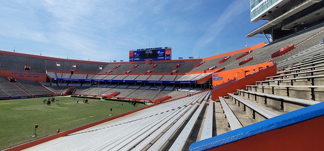 的比分战胜 的比分战胜