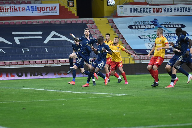 恰恰提供了 恰恰提供了