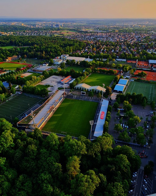 体育新闻工 体育新闻工